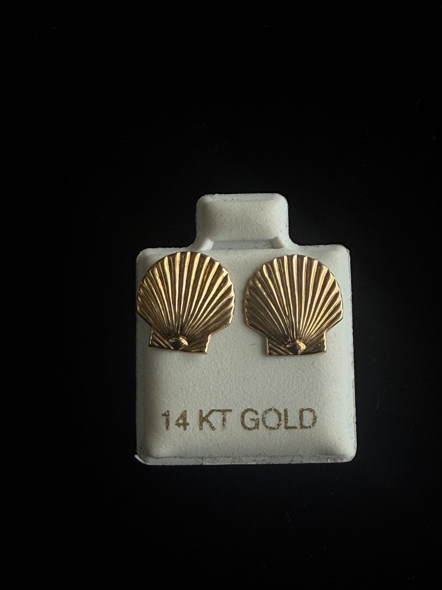 Clamshell Earrings